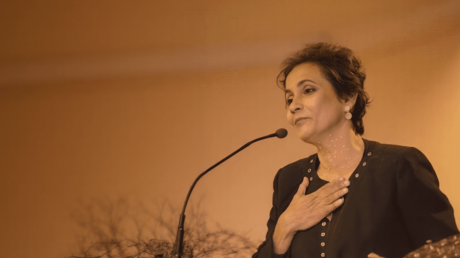 Romayne Diasz addressing a Toastmaster gathering as the humble found of Careers with Romayne